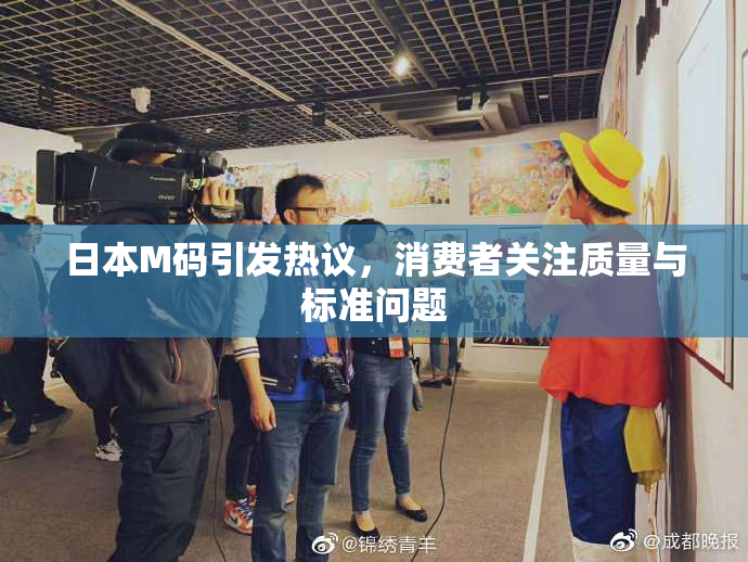 日本M码引发热议，消费者关注质量与标准问题