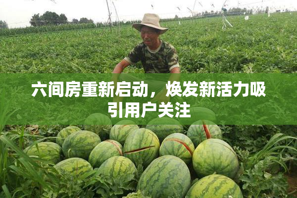 六间房重新启动，焕发新活力吸引用户关注