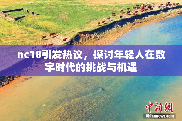 nc18引发热议，探讨年轻人在数字时代的挑战与机遇