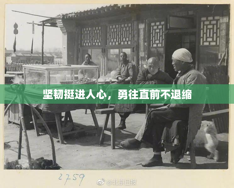 坚韧挺进人心，勇往直前不退缩