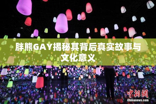 胖熊GAY揭秘其背后真实故事与文化意义