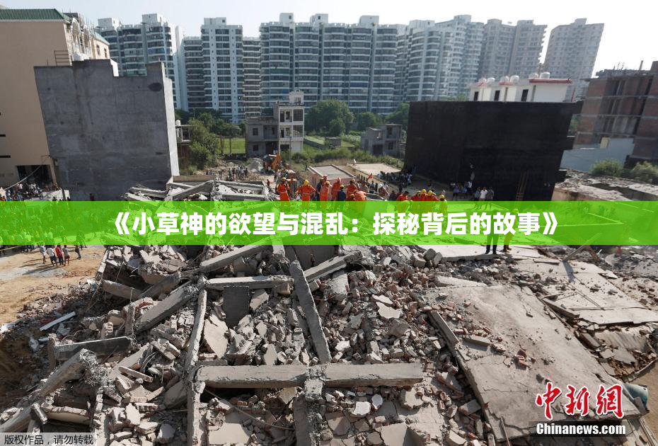《小草神的欲望与混乱：探秘背后的故事》