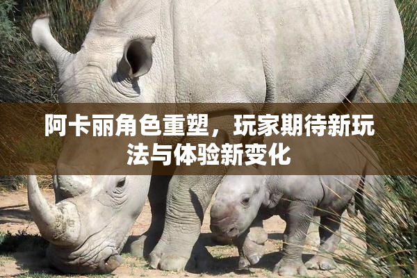 阿卡丽角色重塑，玩家期待新玩法与体验新变化