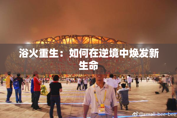 浴火重生：如何在逆境中焕发新生命