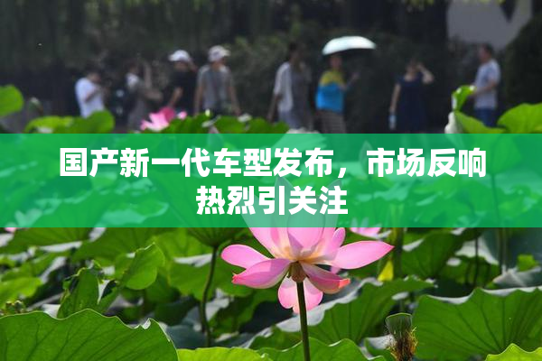 国产新一代车型发布，市场反响热烈引关注