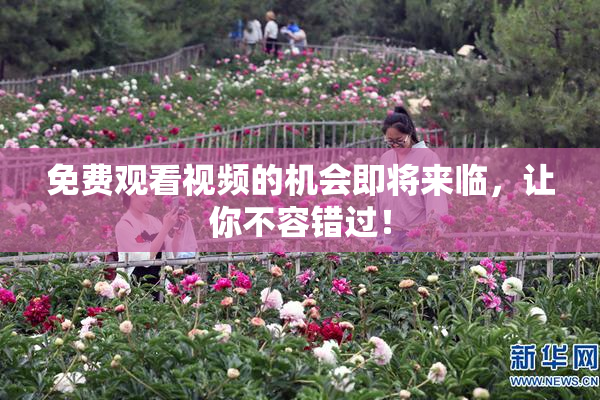免费观看视频的机会即将来临，让你不容错过！