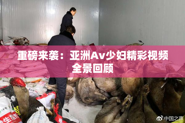 重磅来袭：亚洲Av少妇精彩视频全景回顾