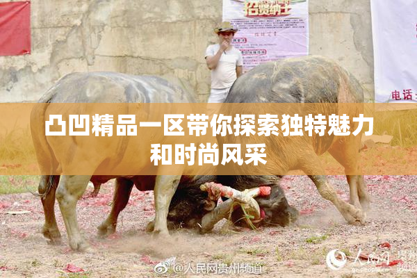 凸凹精品一区带你探索独特魅力和时尚风采