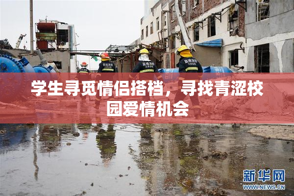 学生寻觅情侣搭档，寻找青涩校园爱情机会