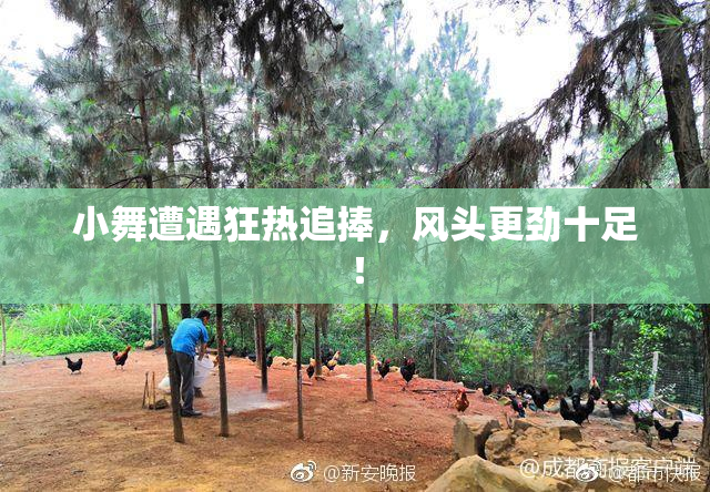 小舞遭遇狂热追捧，风头更劲十足！