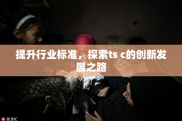 提升行业标准，探索ts c的创新发展之路