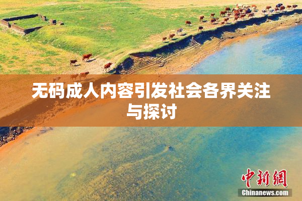 无码成人内容引发社会各界关注与探讨