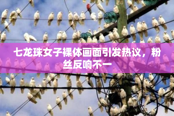 七龙珠女子裸体画面引发热议，粉丝反响不一