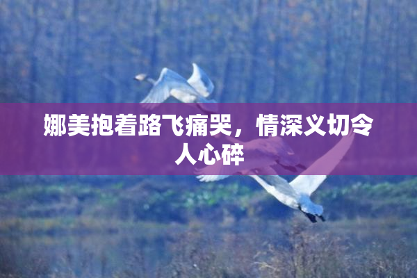 娜美抱着路飞痛哭，情深义切令人心碎