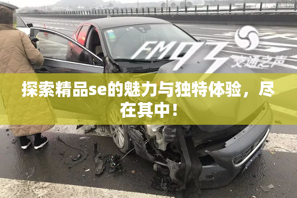 探索精品se的魅力与独特体验，尽在其中！