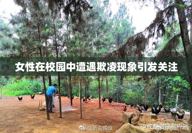 女性在校园中遭遇欺凌现象引发关注
