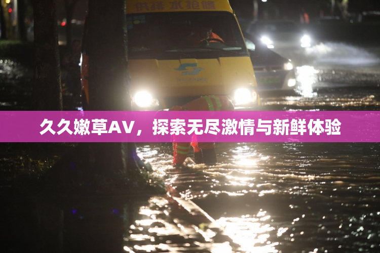 久久嫩草AV，探索无尽激情与新鲜体验