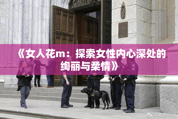 《女人花m：探索女性内心深处的绚丽与柔情》