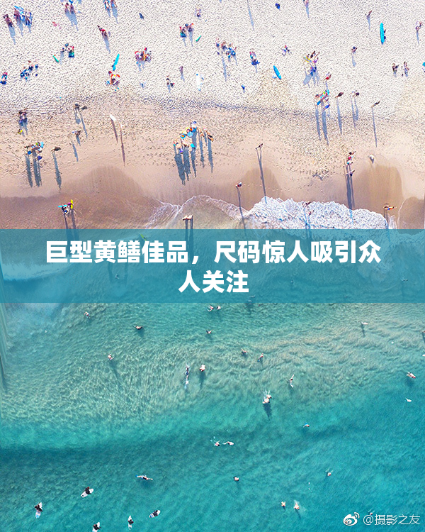 巨型黄鳝佳品，尺码惊人吸引众人关注