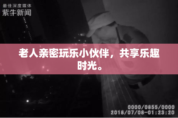 老人亲密玩乐小伙伴，共享乐趣时光。