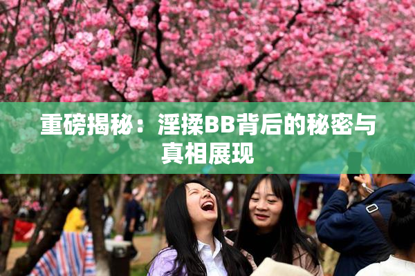 重磅揭秘：淫揉BB背后的秘密与真相展现