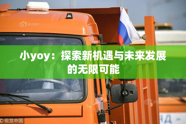 小yoy：探索新机遇与未来发展的无限可能