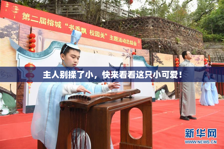 主人别揉了小，快来看看这只小可爱！