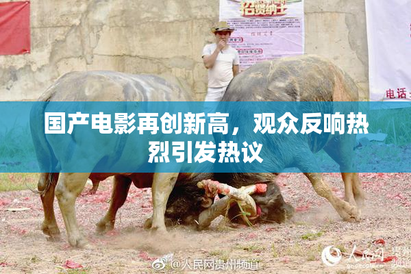 国产电影再创新高，观众反响热烈引发热议