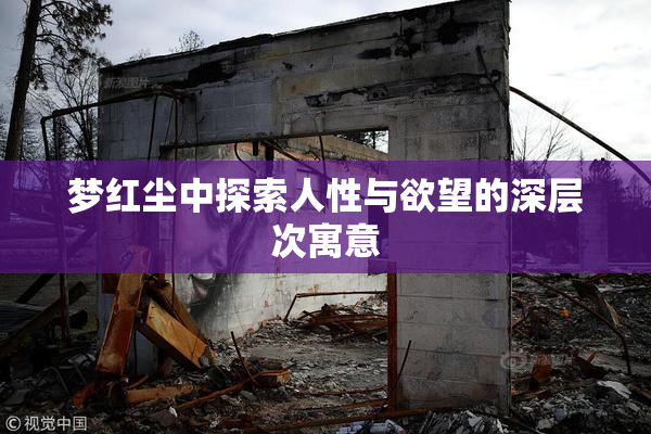 梦红尘中探索人性与欲望的深层次寓意