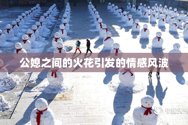 公媳之间的火花引发的情感风波