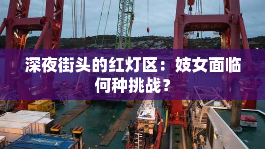 深夜街头的红灯区：妓女面临何种挑战？