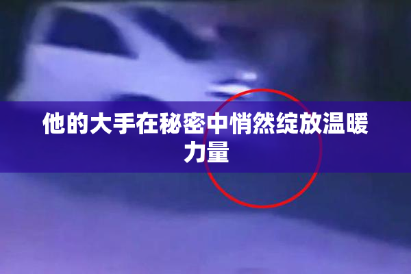 他的大手在秘密中悄然绽放温暖力量
