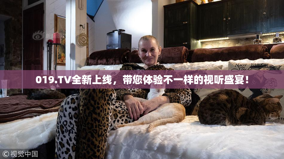 019.TV全新上线，带您体验不一样的视听盛宴！