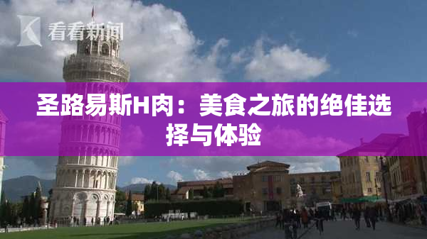圣路易斯H肉：美食之旅的绝佳选择与体验