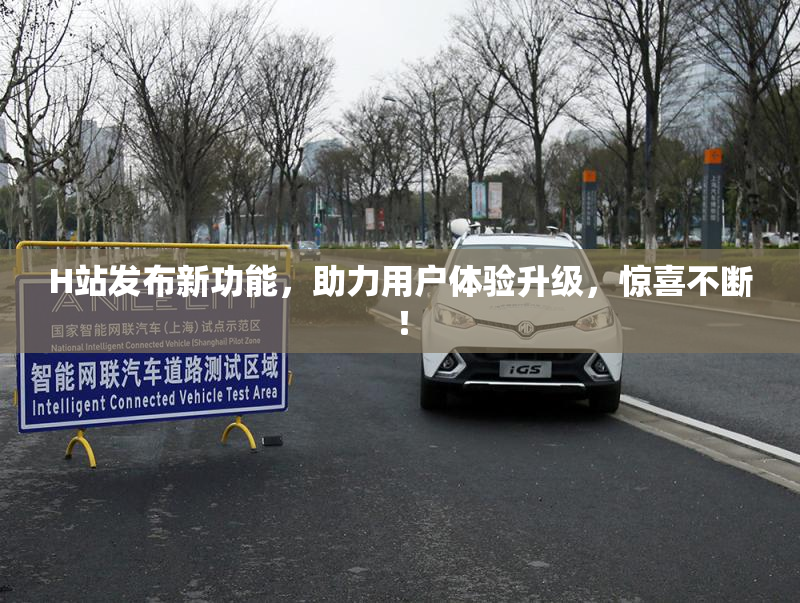 H站发布新功能，助力用户体验升级，惊喜不断！