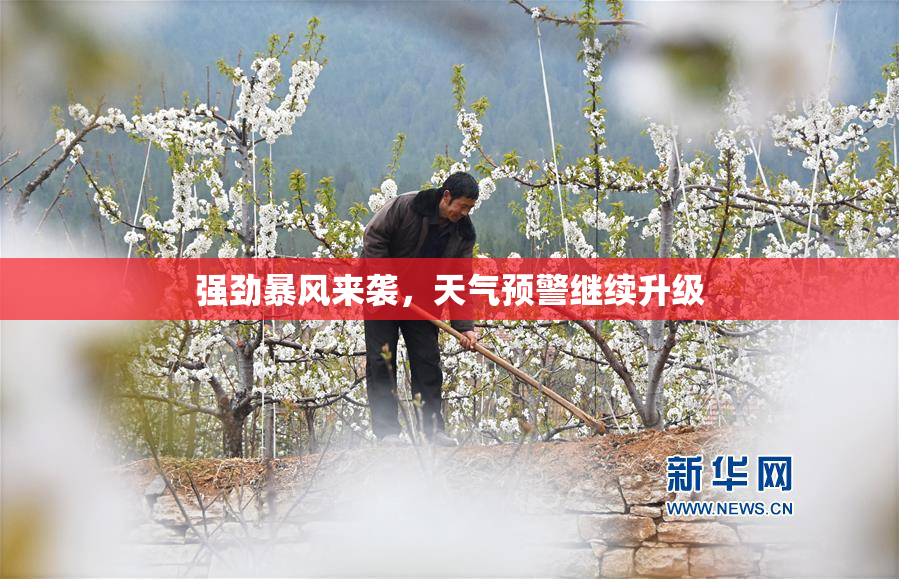 强劲暴风来袭，天气预警继续升级