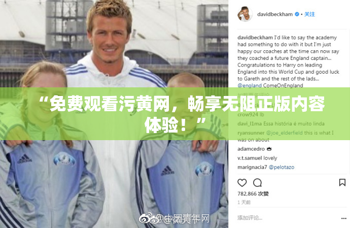 “免费观看污黄网，畅享无阻正版内容体验！”