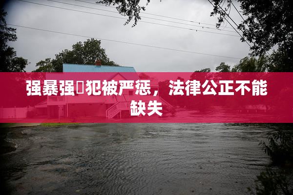 强暴强姦犯被严惩，法律公正不能缺失