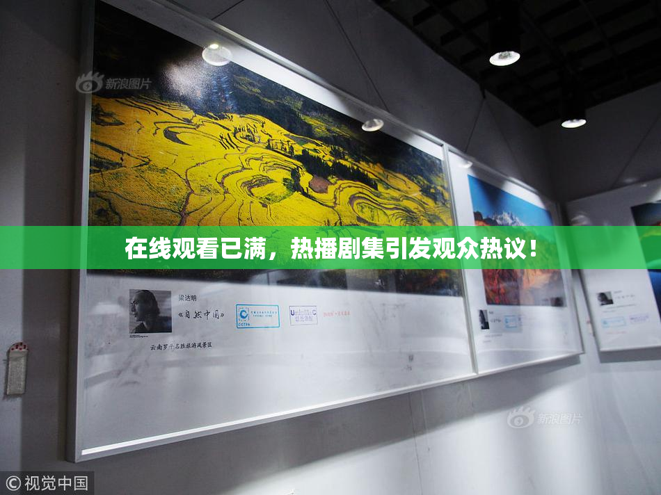 在线观看已满，热播剧集引发观众热议！