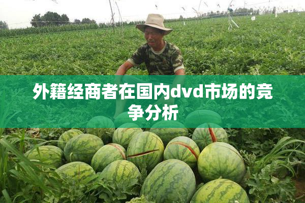 外籍经商者在国内dvd市场的竞争分析