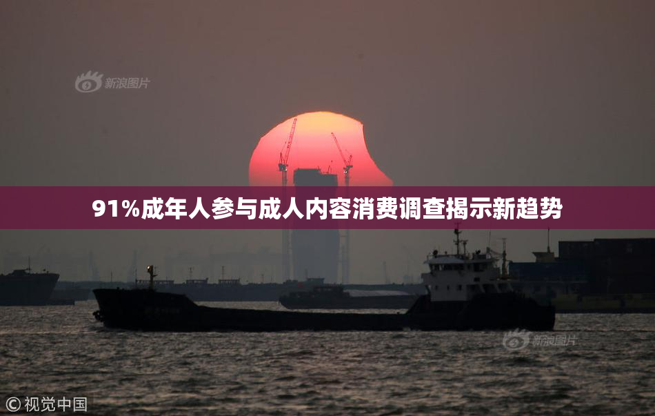 91%成年人参与成人内容消费调查揭示新趋势