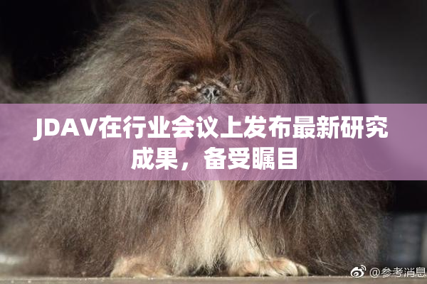JDAV在行业会议上发布最新研究成果，备受瞩目