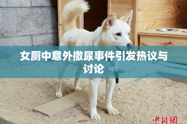 女厕中意外撒尿事件引发热议与讨论
