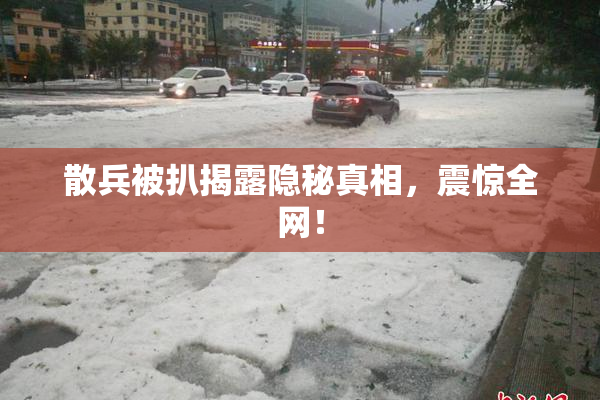 散兵被扒揭露隐秘真相，震惊全网！