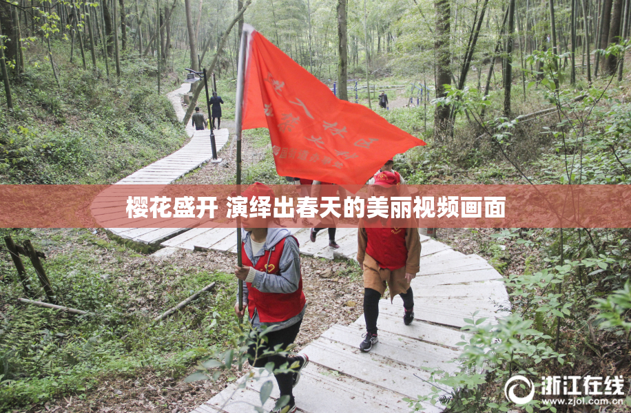 樱花盛开 演绎出春天的美丽视频画面