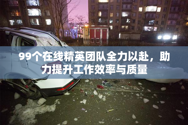 99个在线精英团队全力以赴，助力提升工作效率与质量