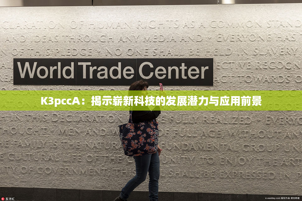 K3pccA：揭示崭新科技的发展潜力与应用前景