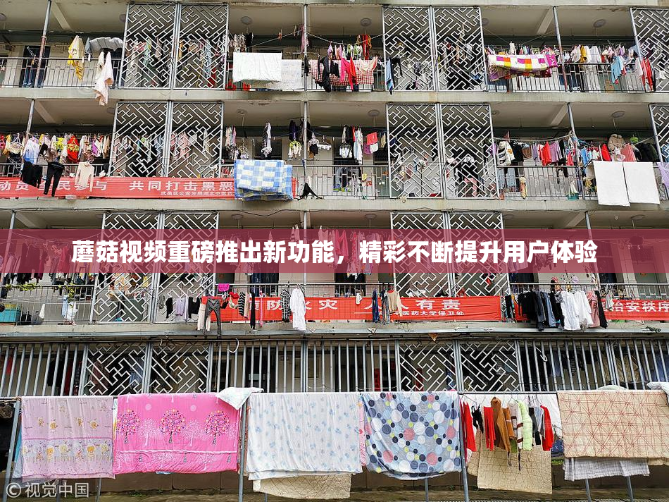蘑菇视频重磅推出新功能，精彩不断提升用户体验