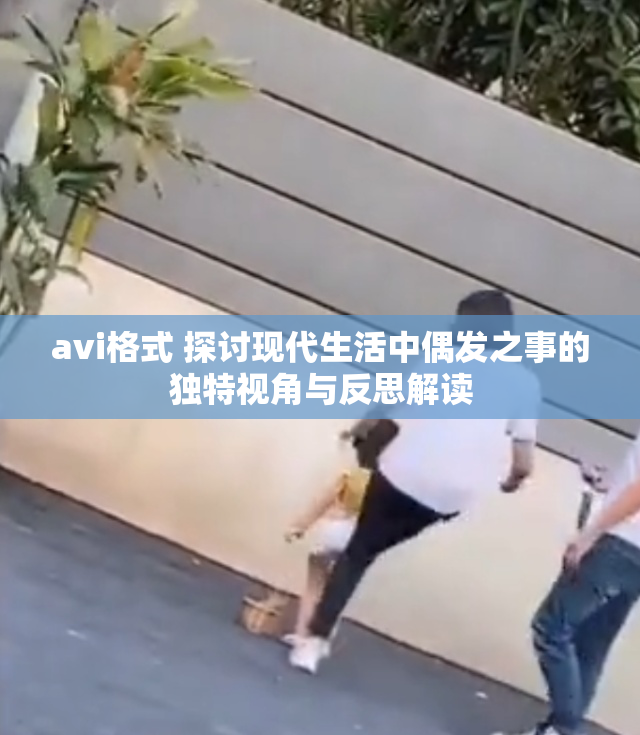 avi格式 探讨现代生活中偶发之事的独特视角与反思解读