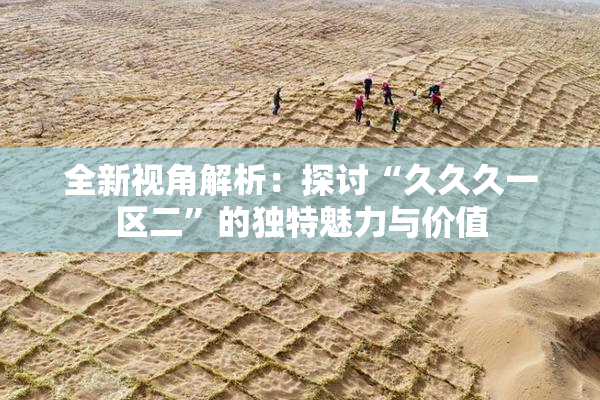 全新视角解析：探讨“久久久一区二”的独特魅力与价值